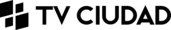 Logo de TV Ciudad (2020, horizontal).png