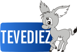 Logo de TV 10 Rivera (2016).png