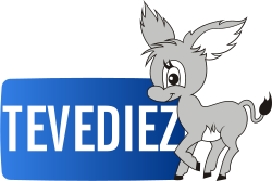 Logo de TV 10 Rivera (2016).svg